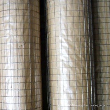 1/2 Inch Galvanized Welded Wire Mesh Price / Welded Wire Mesh Factory